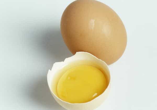 Fakta Telur