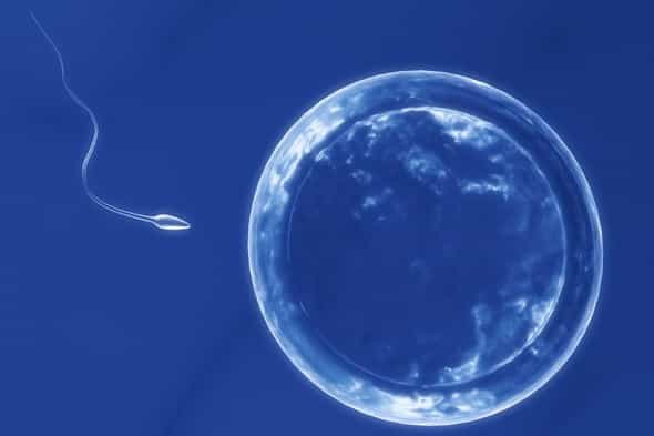 Terapi Sperma Perbesar Potensi Kehamilan