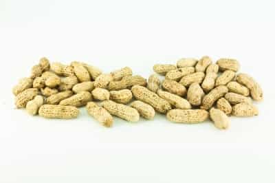 Kacang Cegah Alergi?