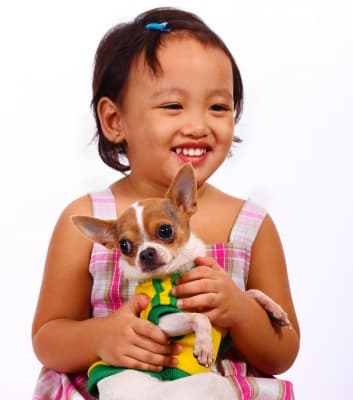 Hewan, Bahan Pembelajaran untuk Si Kecil