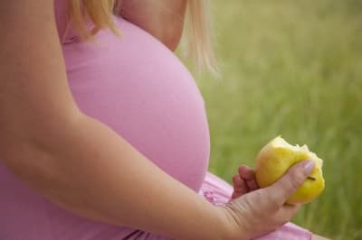 Makanan Favorit Ibu Jadi Favorit Anak