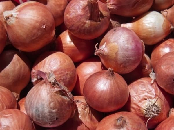 4 Manfaat Kesehatan Bawang Merah