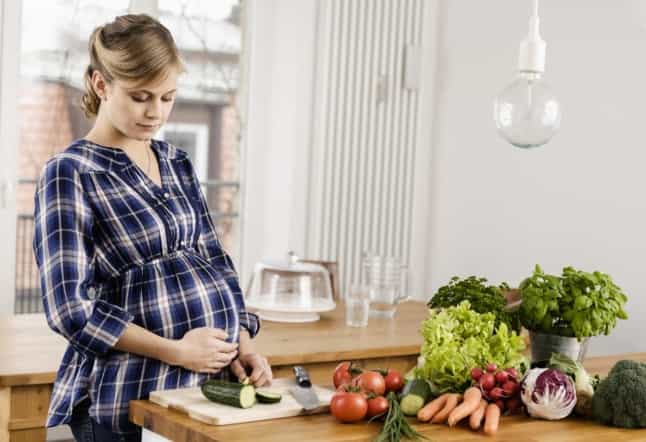 Tips Diet Vegetarian Ibu Hamil
