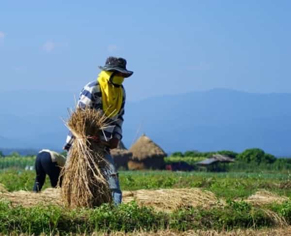 World Food Day Perangi Kelaparan dan Malnutrisi