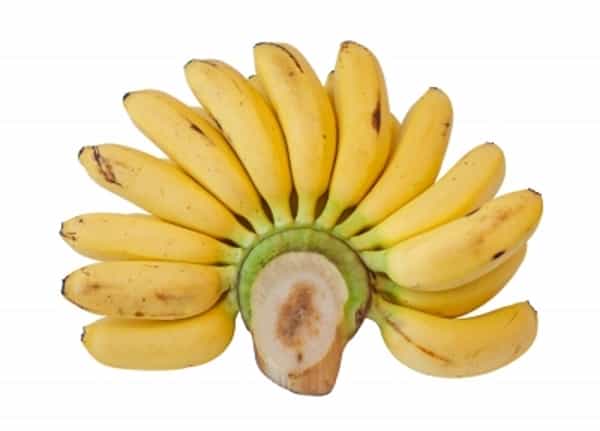 Pisang, Makanan Sehat Sperma