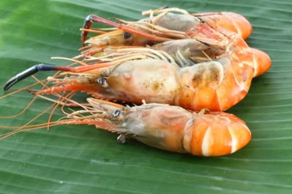 Konsumsi ‘Seafood’ saat Hamil