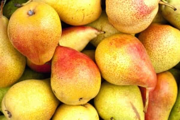 Makanan Terbaik Penurun Berat Badan