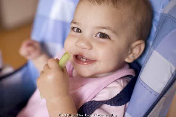 Ragam Finger Food Untuk Bayi