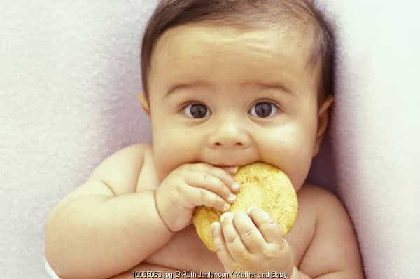 Probiotics & Prebiotics Pada Makanan Bayi