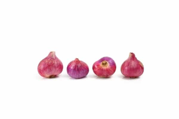 6 Khasiat Bawang Merah Bagi Tubuh