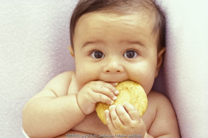Pro Kontra Baby Led Weaning