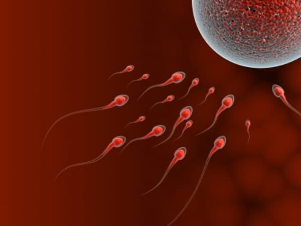 Ini Ciri Sperma yang Sehat