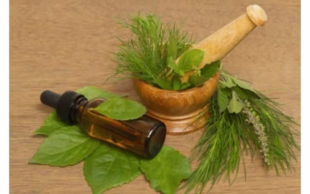 6 Khasiat Tea Tree Oil