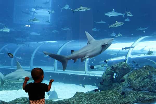 4 Taman Hiburan Seru untuk Liburan Anda dan Si Kecil
