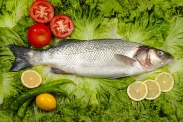 Konsumsi Ikan dan Daging dapat Menaikkan BB Janin