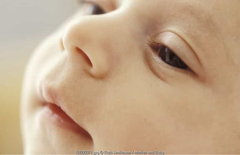 Membersihkan Hidung Bayi dengan Benar