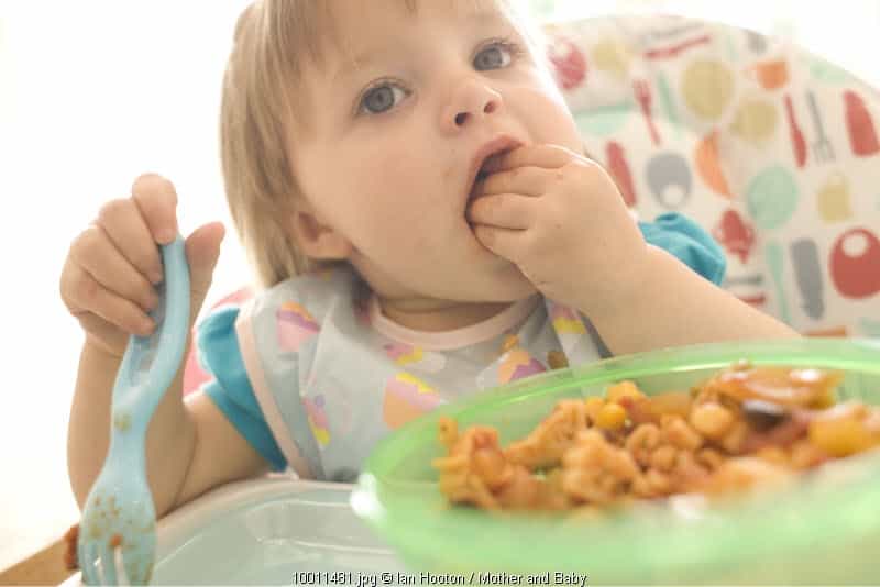 Kapan Anak Belajar Makan Sendiri?
