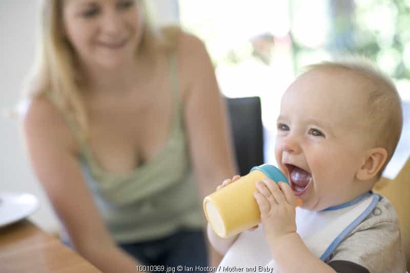 4 Tips Agar Anak Mau Minum Dari Sippy Cup