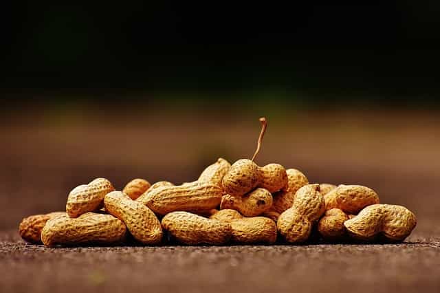 Rekomendasi Terbaru: Kenalkan Kacang Sejak Bayi