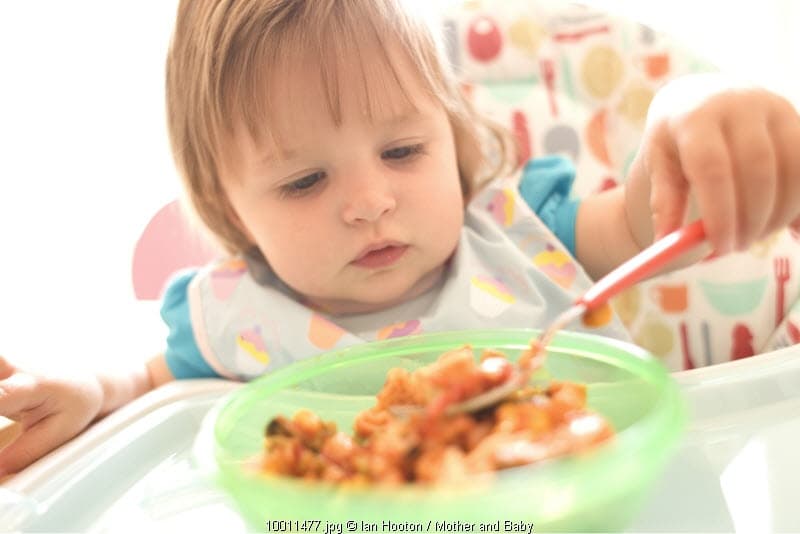 7 Cara Ampuh Membujuk Anak Susah Makan