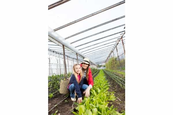 5 Manfaat Berkebun Bagi Kesehatan Fisik dan Mental