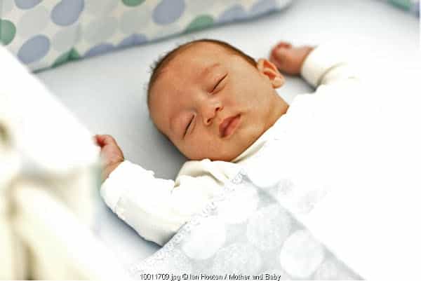 Benarkah Gurita dapat Mencegah Perut Buncit pada Bayi?