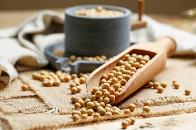 Kandungan dan Manfaat Kacang Kedelai