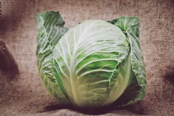 Yuk Sajikan Menu Sayuran Kubis, Moms, Ini Manfaatnya