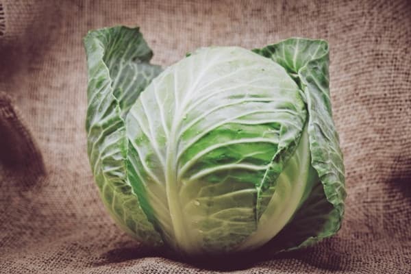 Yuk Sajikan Menu Sayuran Kubis, Moms, Ini Manfaatnya