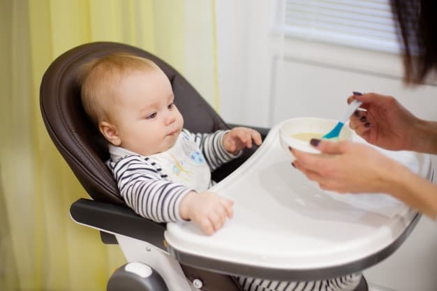 Moms, Kenali Jadwal Makan MPASI Bayi 6 Bulan
