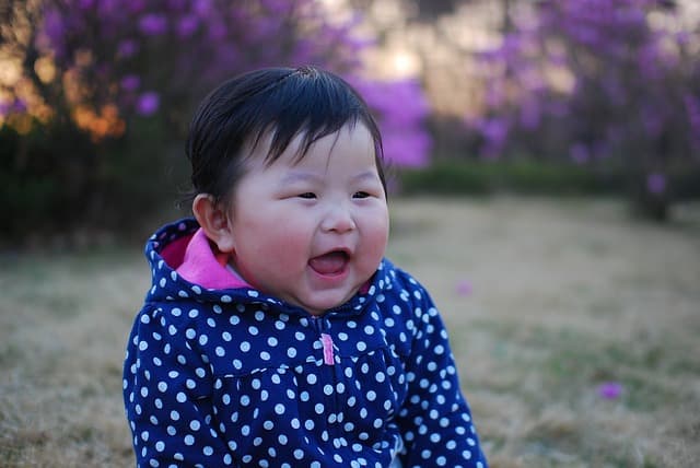 50+ Ide Nama Bayi Perempuan Berbahasa Jepang