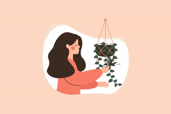 10 Cara untuk Detoks Rumah Anda