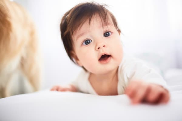 Inspirasi Nama Bayi dari Tumbuh-Tumbuhan dan Bunga