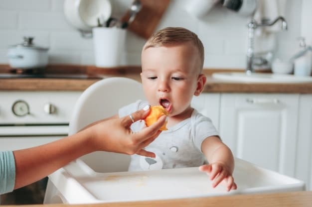 Moms, Ini Superfood untuk MPASI Bayi Anda