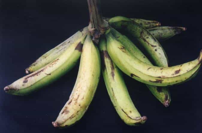 Mengenal Pisang Agung Semeru dan Manfaatnya untuk Tubuh