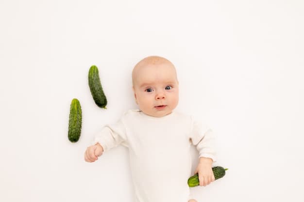 Yuk, Sajikan MPASI Mentimun untuk Bayi Anda, Ini Manfaatnya