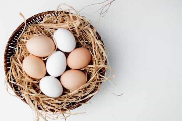 Pilih Mana, Telur Ayam Kampung atau Telur Ayam Negeri?