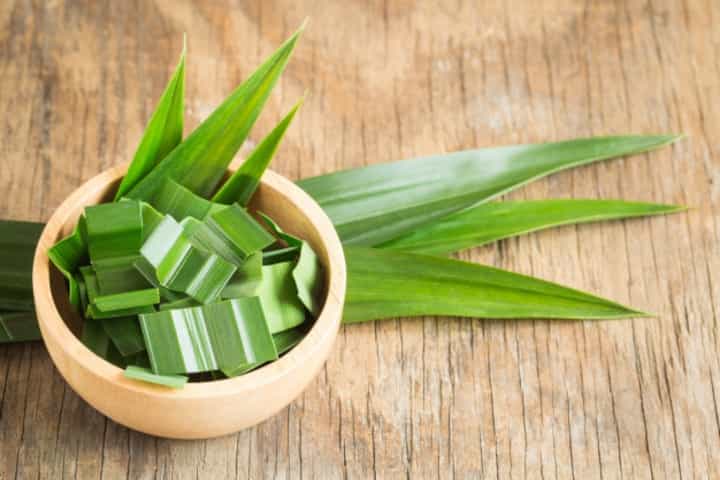 Tak Hanya Harum, Ini 8 Manfaat Daun Pandan untuk Kesehatan