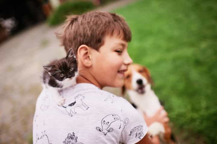 Rekomendasi Pet Clinic untuk Jaga Kesehatan Hewan Kesayangan