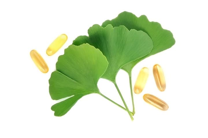 Amankah Ibu hamil dan Menyusui Mengonsumsi Ginkgo Biloba?