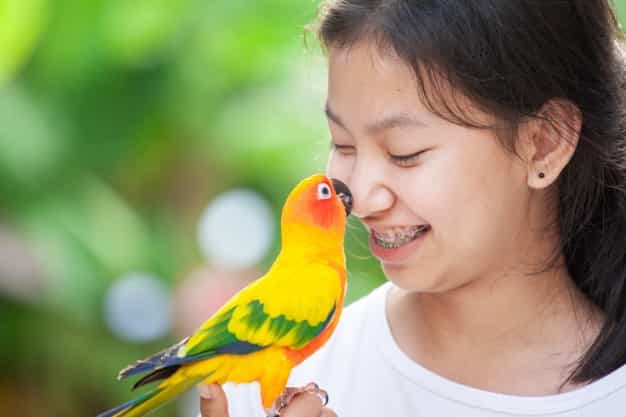 5 Manfaat Hobi Memelihara Burung untuk Kesehatan Anda