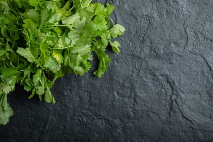 Bukan Cuma Bumbu Dapur, Ini Manfaat Daun Ketumbar untuk Kesehatan