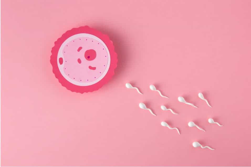 Sperma Encer Tanda Sulit Punya Anak? Ini Dia Penyebab dan Cara Mengatasinya