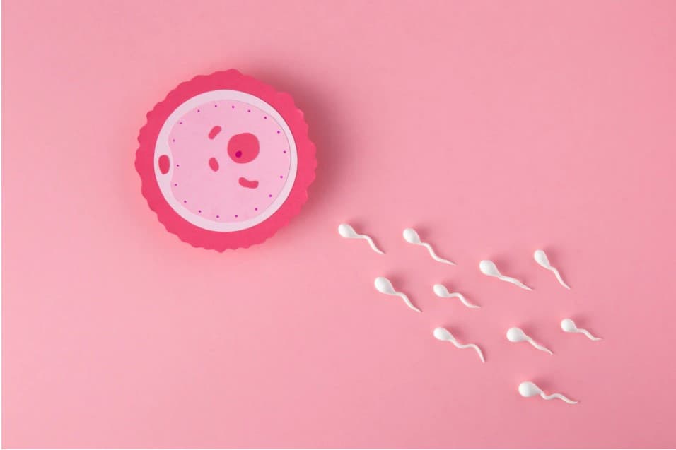 Sperma Encer Tanda Sulit Punya Anak? Ini Dia Penyebab dan Cara Mengatasinya